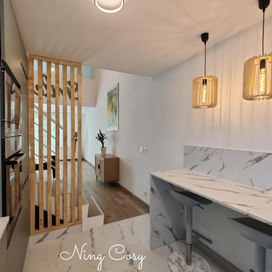 Superbe Cosy Duplex Appartement T3 Charpenne Tete D'Or Avec Parking Prive Gratuit Вильорбан Екстериор снимка