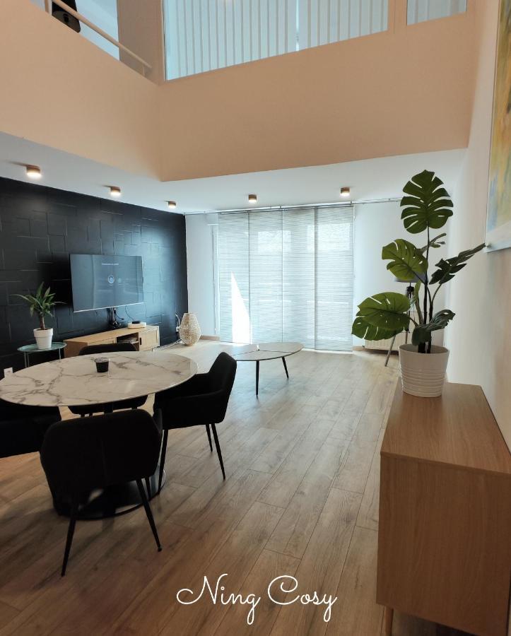 Superbe Cosy Duplex Appartement T3 Charpenne Tete D'Or Avec Parking Prive Gratuit Вильорбан Екстериор снимка